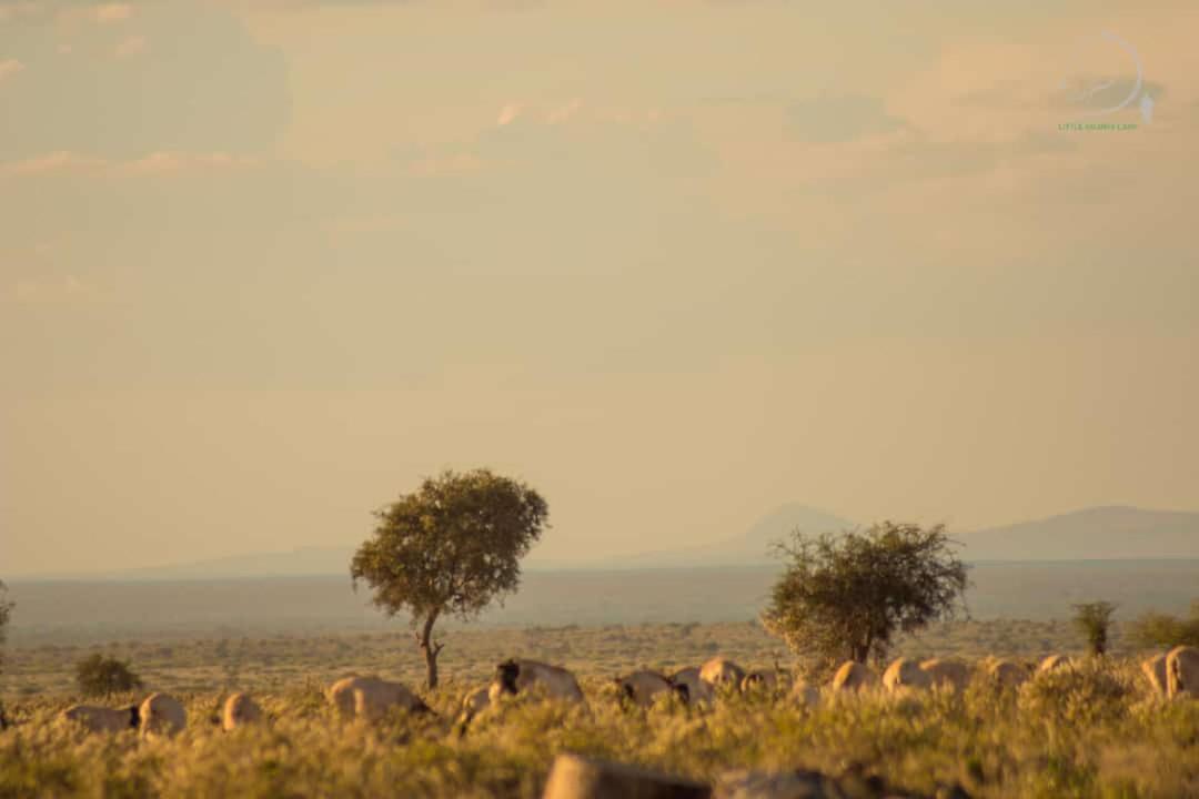 Amanya 3-Bedroom Hut Amboseli-Nationalpark Exterior foto